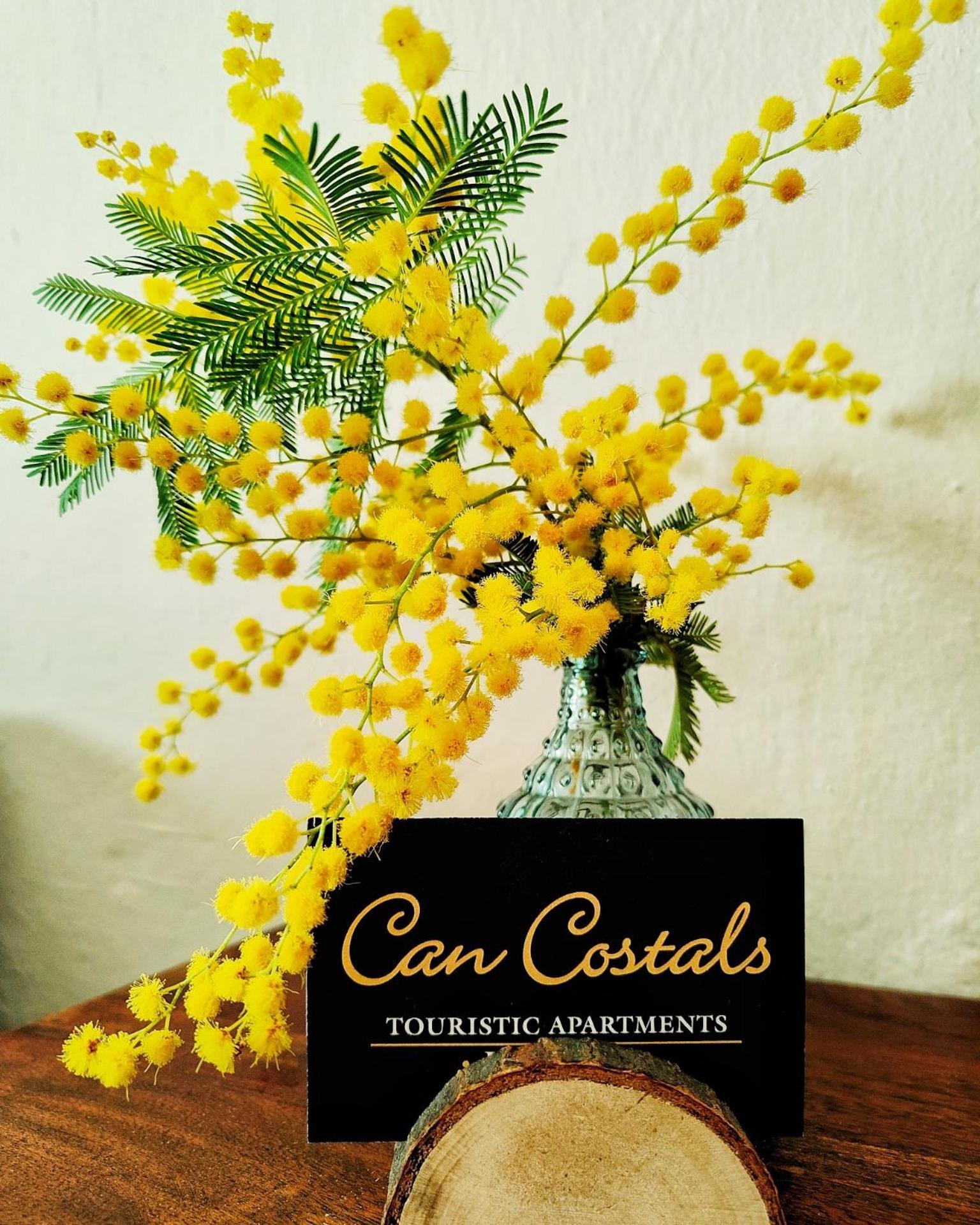 Can Costals Olivo Pals Exterior foto